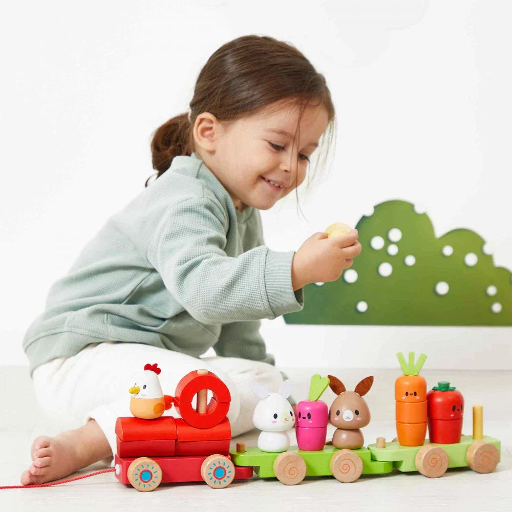 Farm Pull-along Train